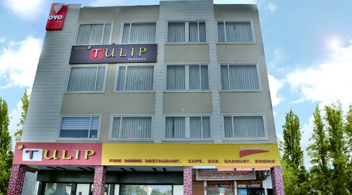 hotel-tulip-regency-mohali